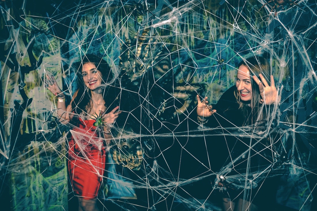 imagine_0006_DSC_2612