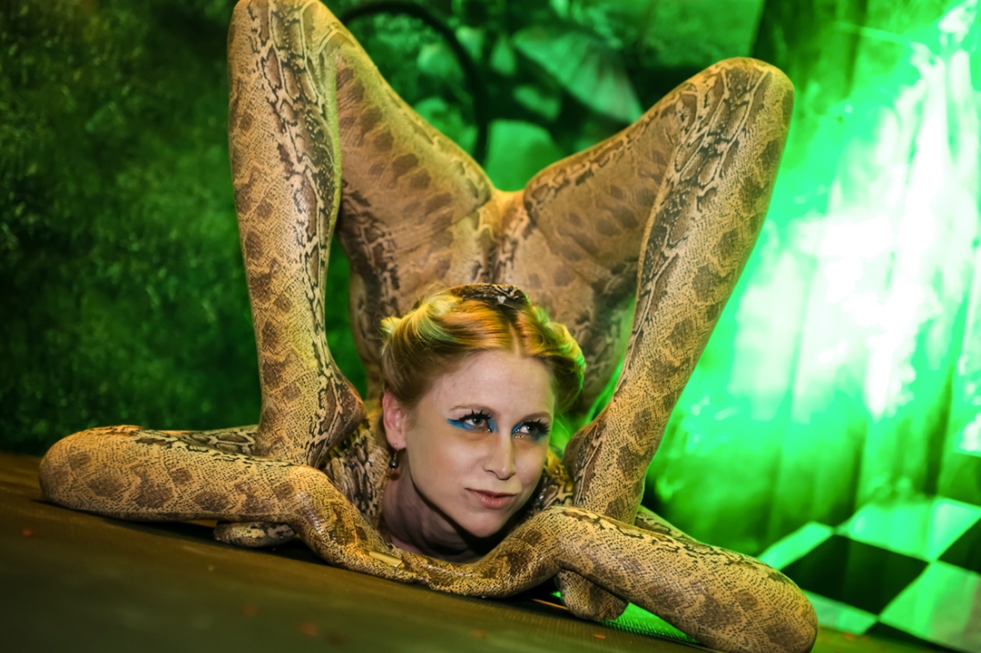 imagine_0011_IMAGINE NEW-YEARS--33.JPG